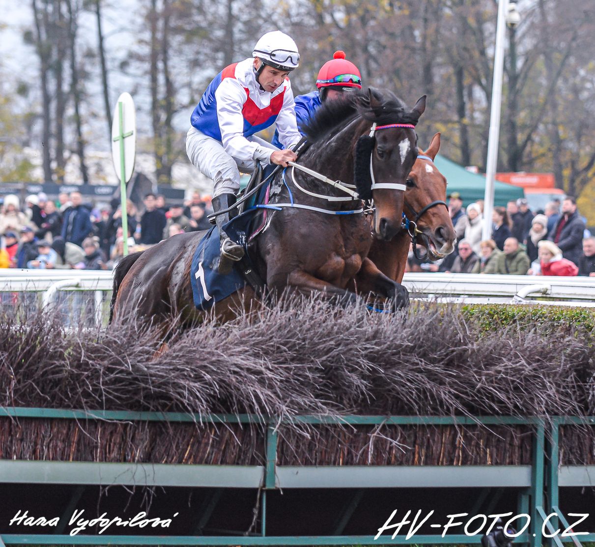 DSC_6026 kopie.jpg
